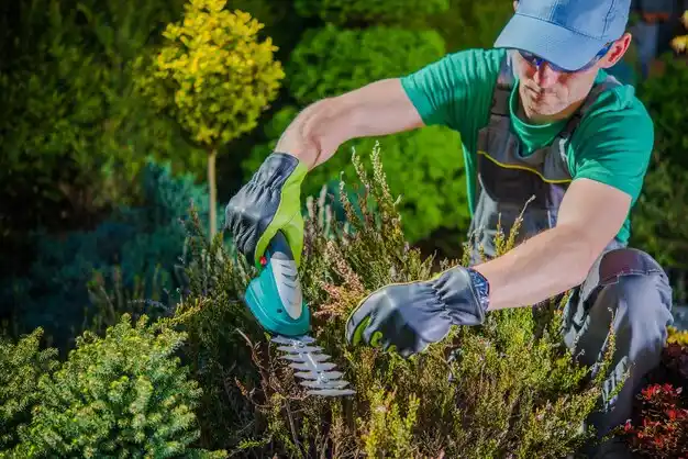 landscaping services Wayland